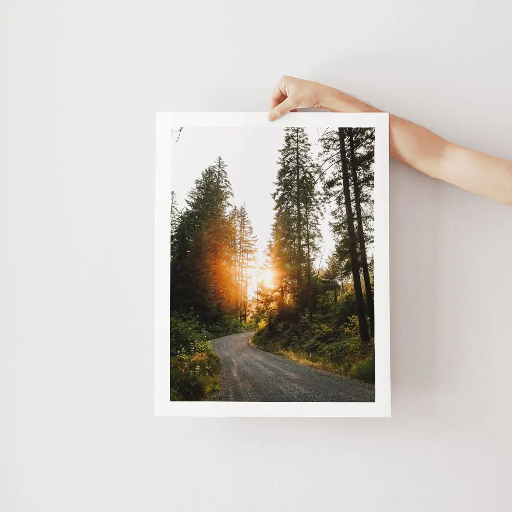 Large Format Prints